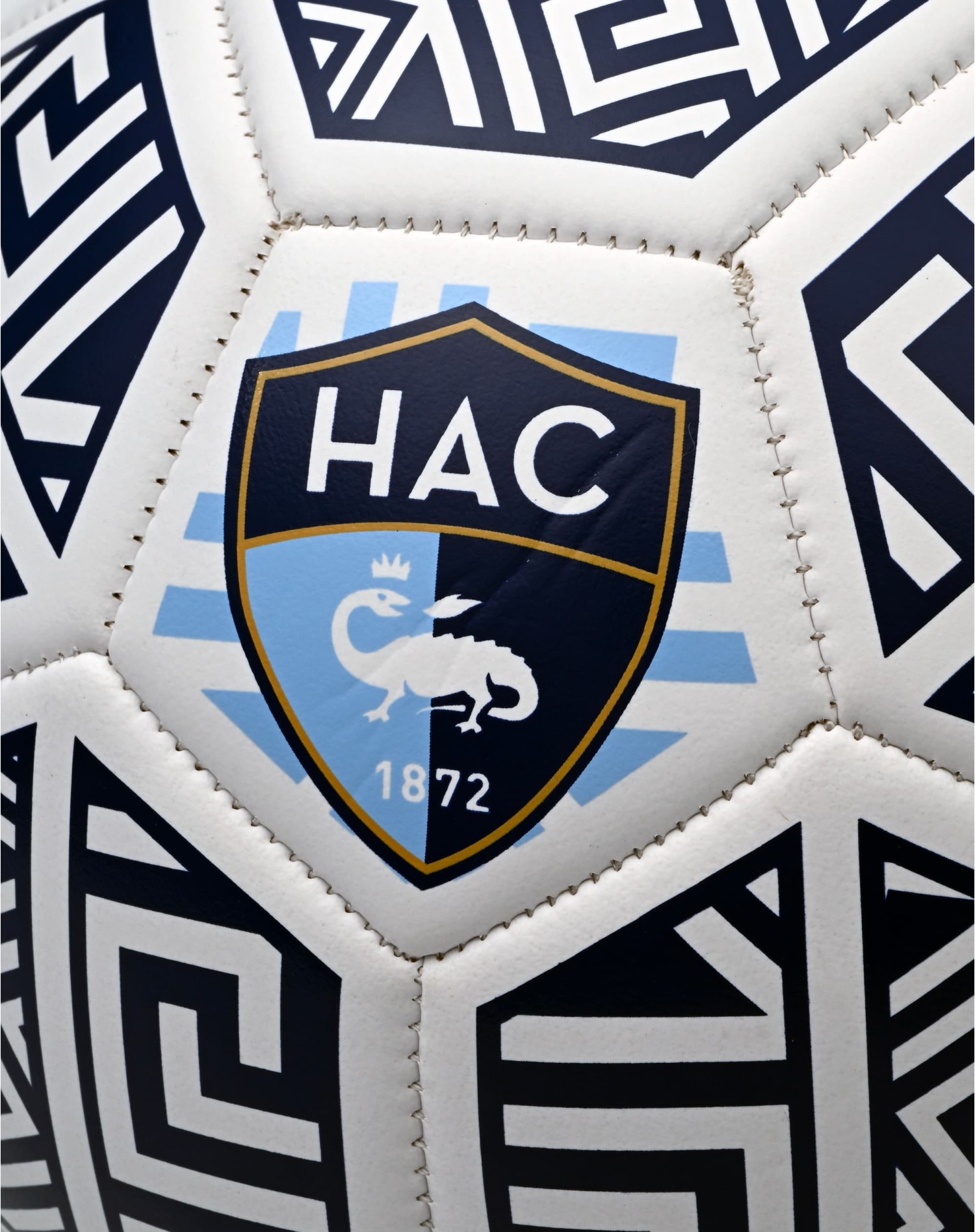 Ballon Mosaïque HAC T5 - Detail