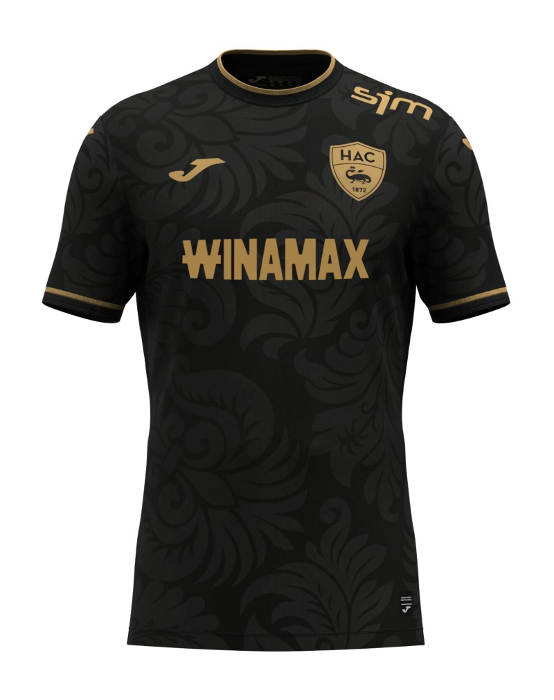 Maillot Officiel Third 24/25 - Face