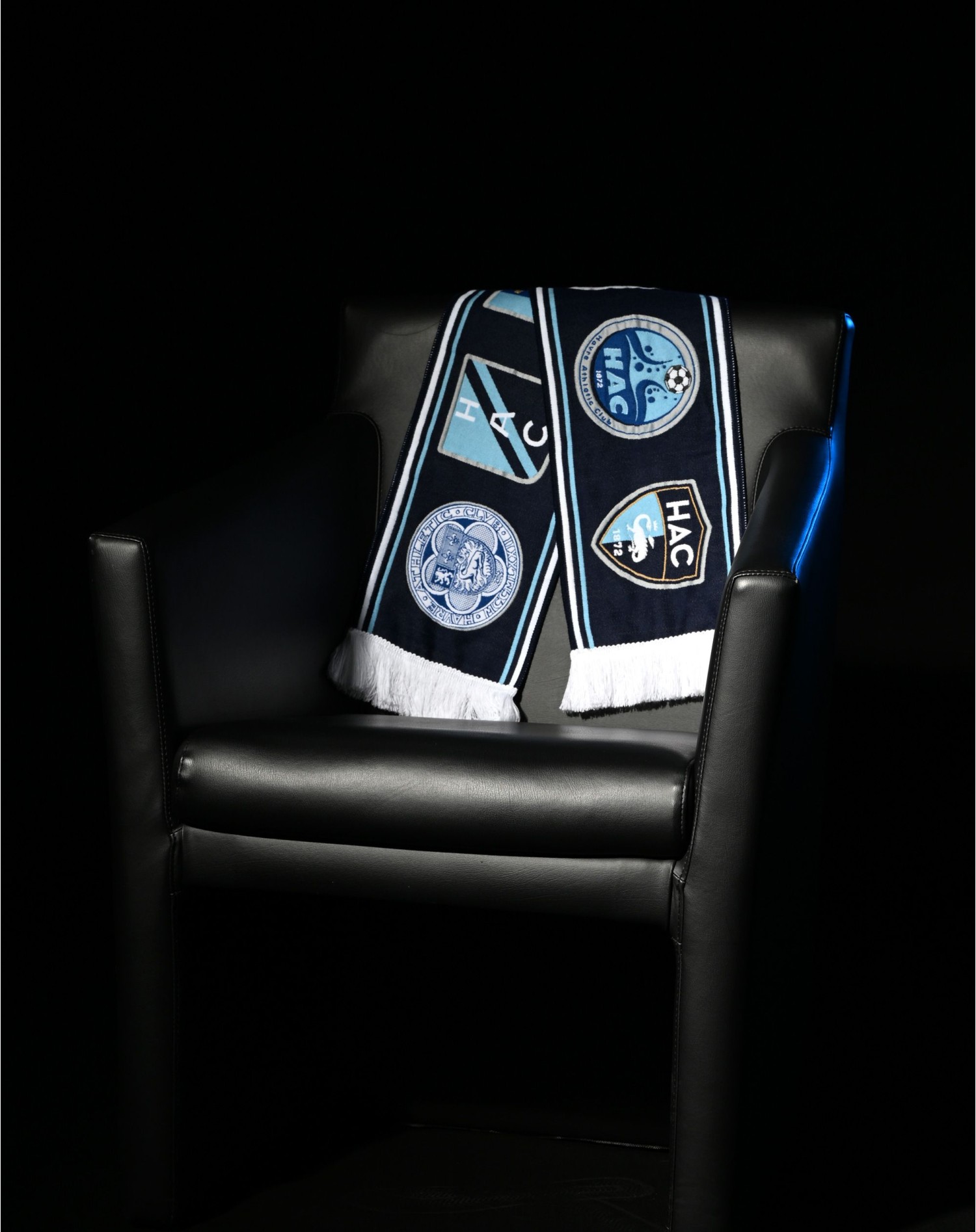 Écharpe Logos Historique - Situation Écharpe Logos Historique - Situation