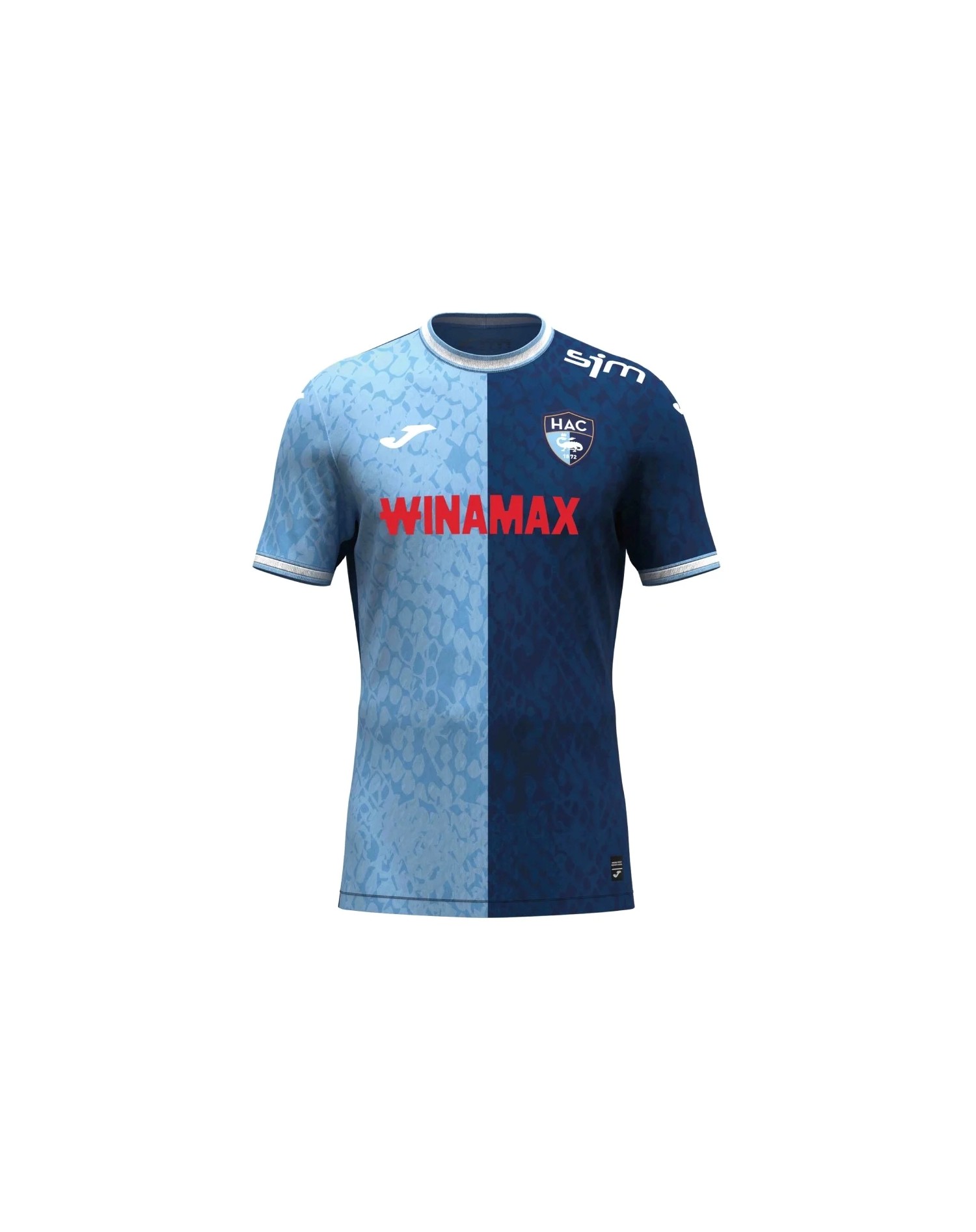 Maillot HAC Le Havre CFA 2 – Nike, Taille L, Porté, Excellent état