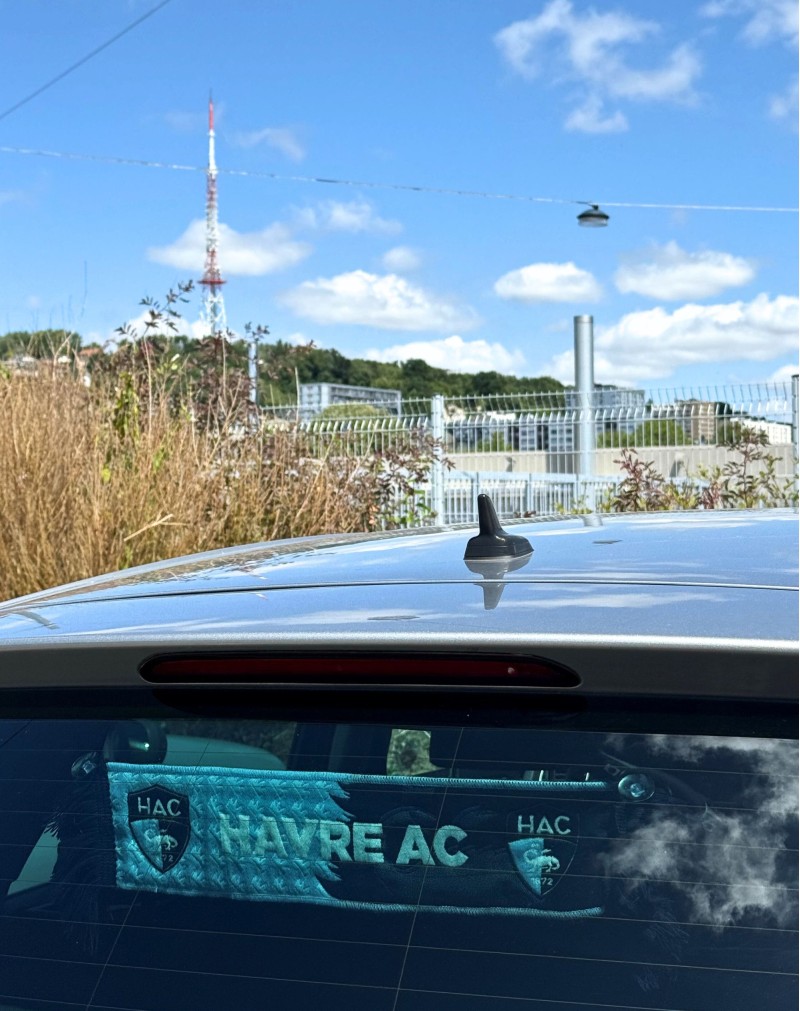 Écharpe de Voiture - voiture 2