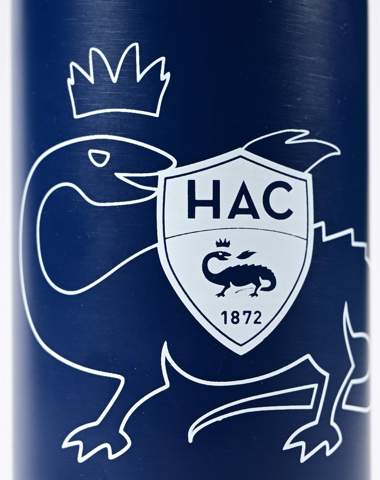 Gourde Isotherme Salamandre Marine - zoom