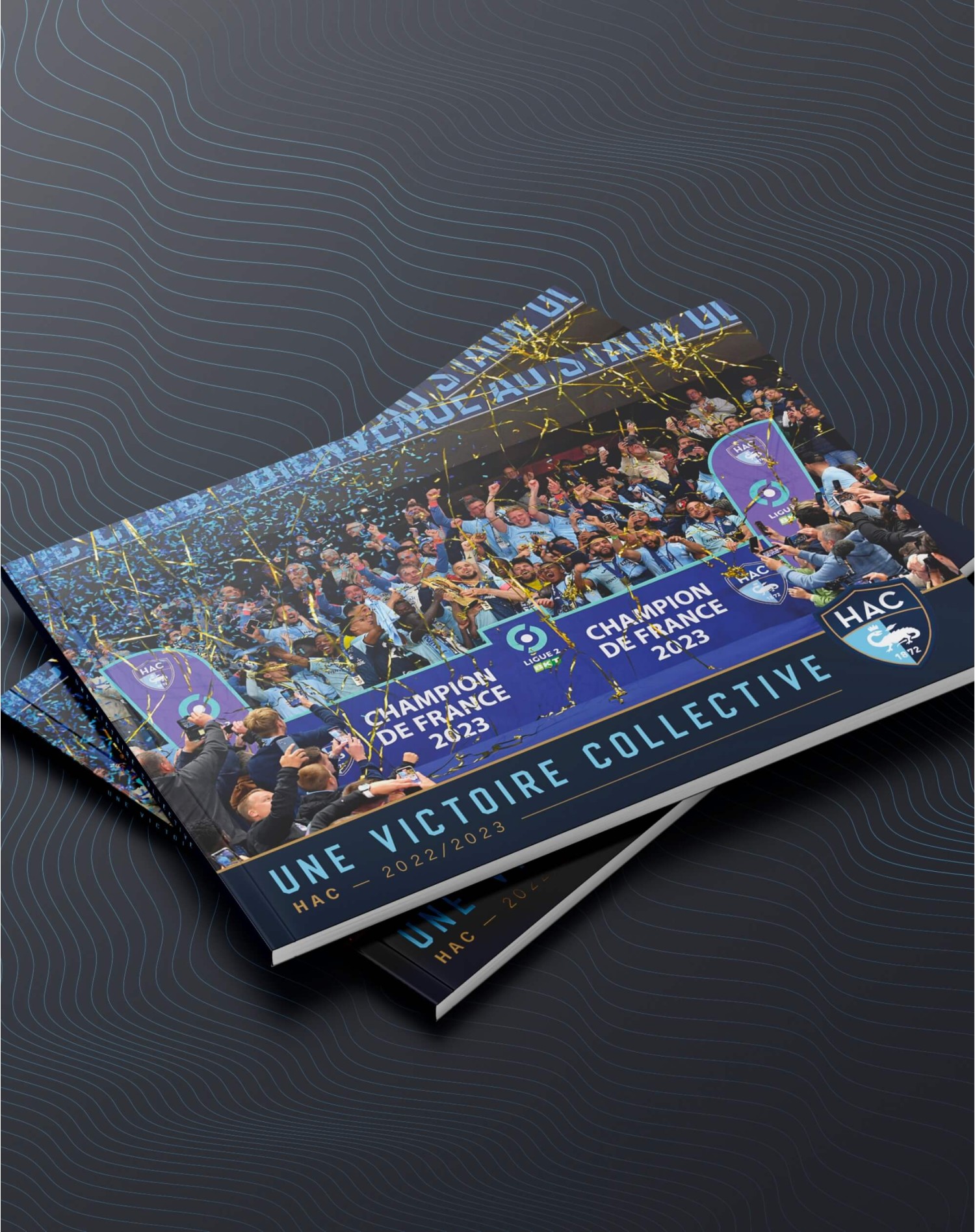 Livre une victoire collective - couverture Livre une victoire collective - couverture