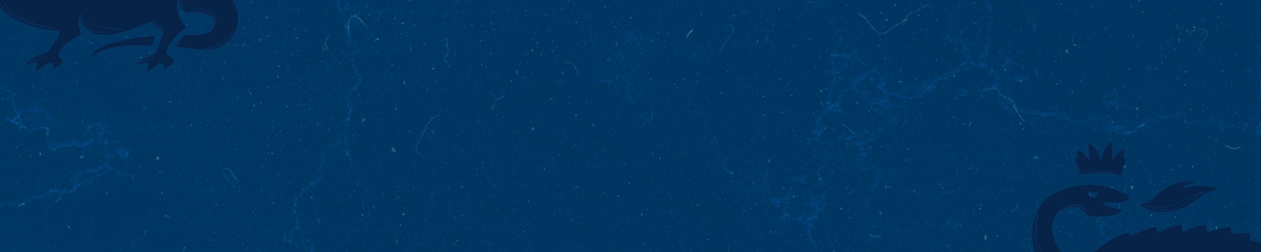Écharpe Stade | Officielle HAC