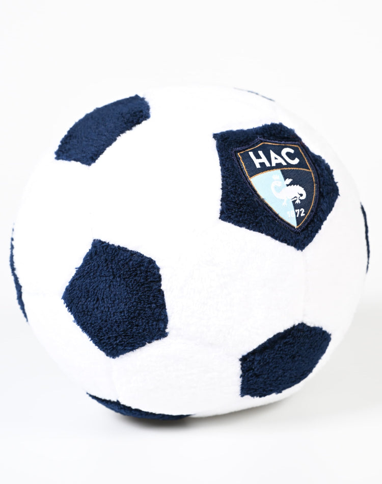 Ballon Peluche