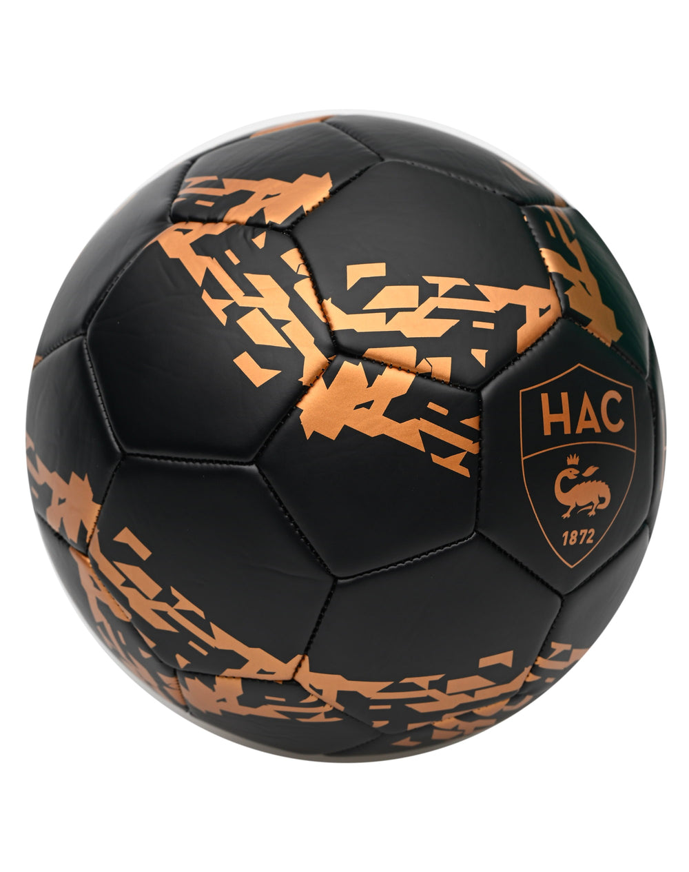 Ballon Noir et Or T5 - 1/4 face